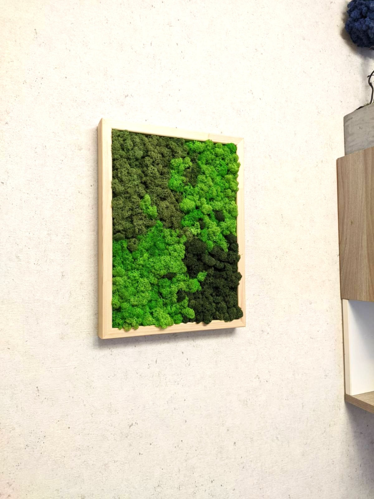 Preserved Moss Wall Art – Handmade Natural Wall Decor (30x40 cm)