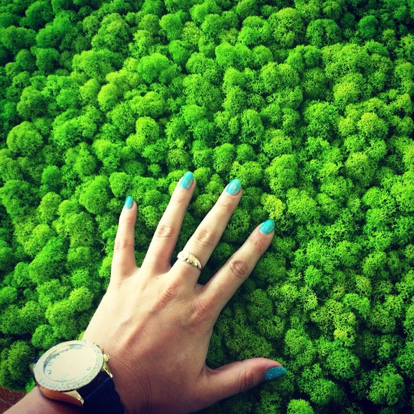 Preserved Moss Wall Art – Handmade Natural Wall Decor (30x40 cm)