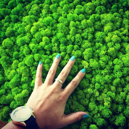 Preserved Moss Wall Art – Handmade Natural Wall Decor (30x40 cm)