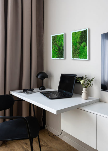 Preserved Moss Wall Art – Handmade Natural Wall Decor (30x40 cm)