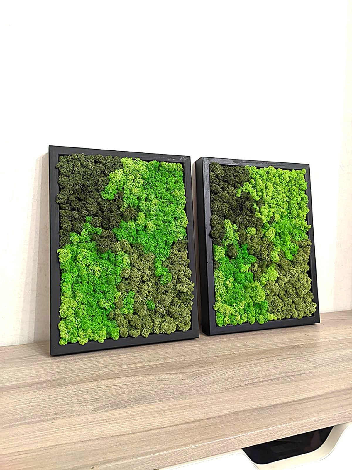 Preserved Moss Wall Art – Handmade Natural Wall Decor (30x40 cm)