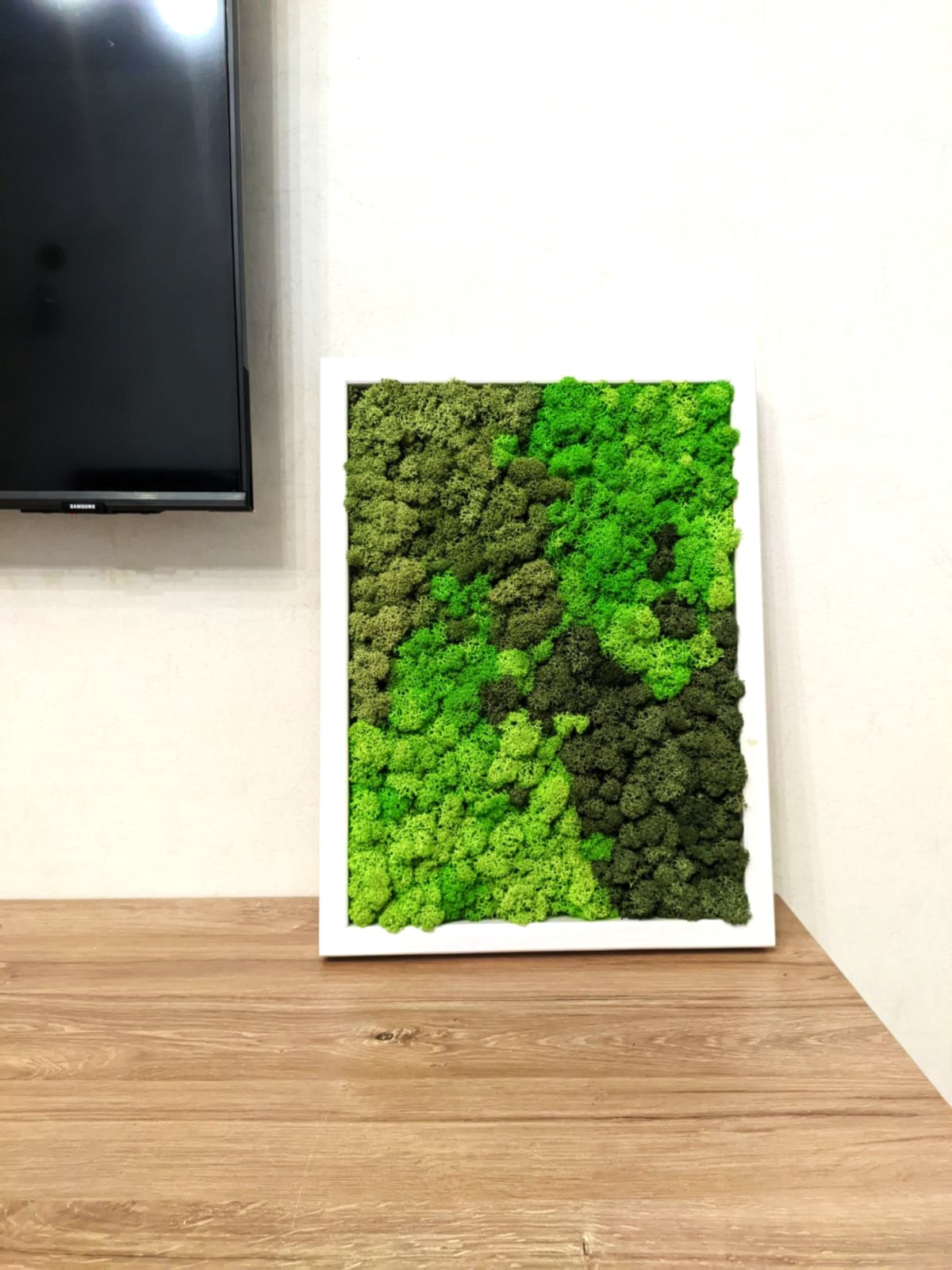 Preserved Moss Wall Art – Handmade Natural Wall Decor (30x40 cm)