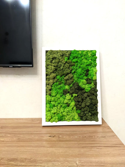 Preserved Moss Wall Art – Handmade Natural Wall Decor (30x40 cm)