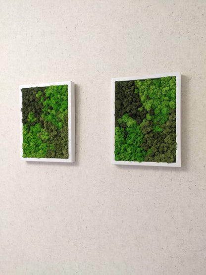 Preserved Moss Wall Art – Handmade Natural Wall Decor (30x40 cm)