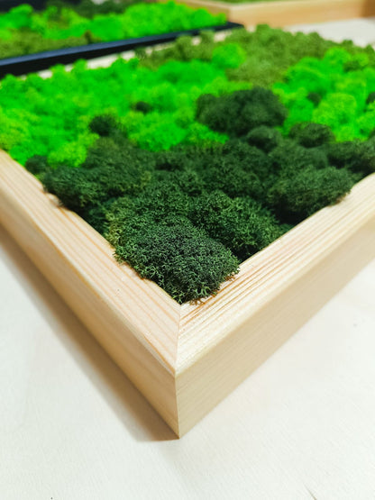 Preserved Moss Wall Art – Handmade Natural Wall Decor (30x40 cm)
