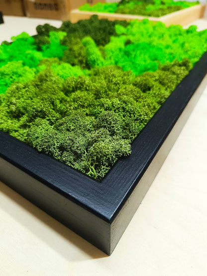 Preserved Moss Wall Art – Handmade Natural Wall Decor (30x40 cm)