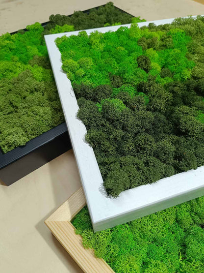Preserved Moss Wall Art – Handmade Natural Wall Decor (30x40 cm)