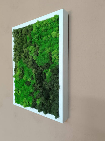 Preserved Moss Wall Art – Handmade Natural Wall Decor (30x40 cm)