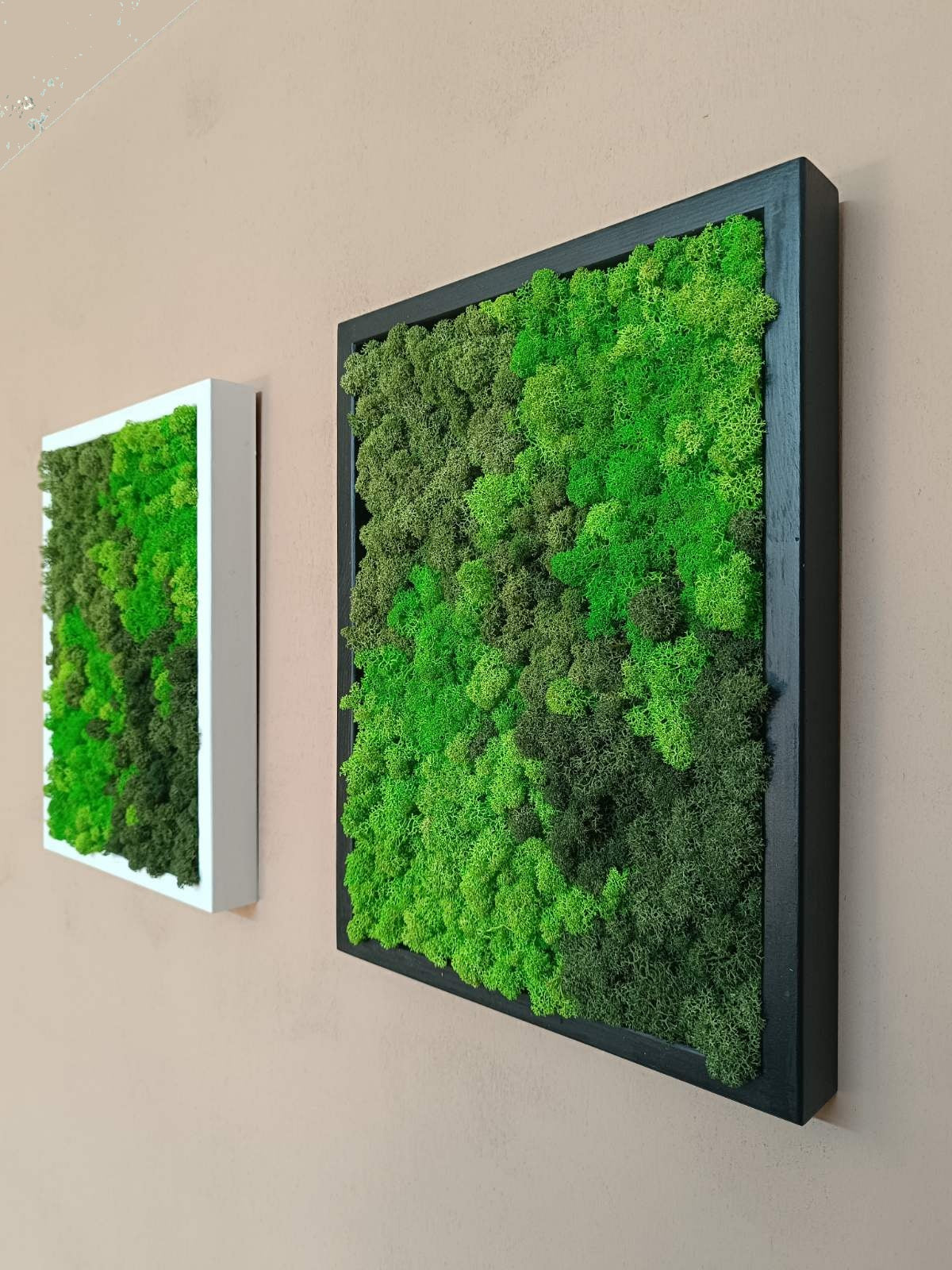 Preserved Moss Wall Art – Handmade Natural Wall Decor (30x40 cm)