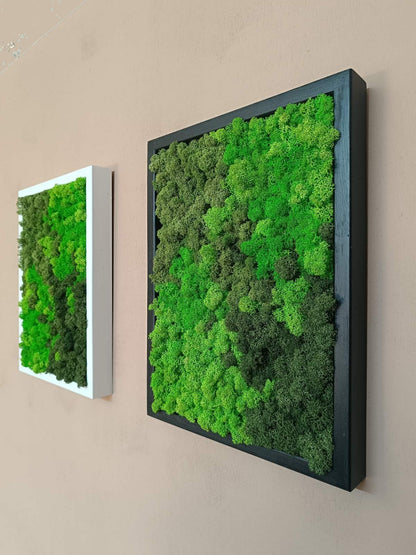 Preserved Moss Wall Art – Handmade Natural Wall Decor (30x40 cm)