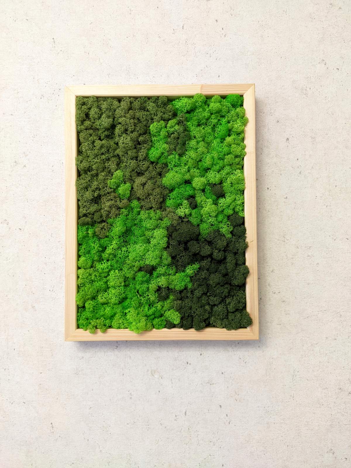 Preserved Moss Wall Art – Handmade Natural Wall Decor (30x40 cm)