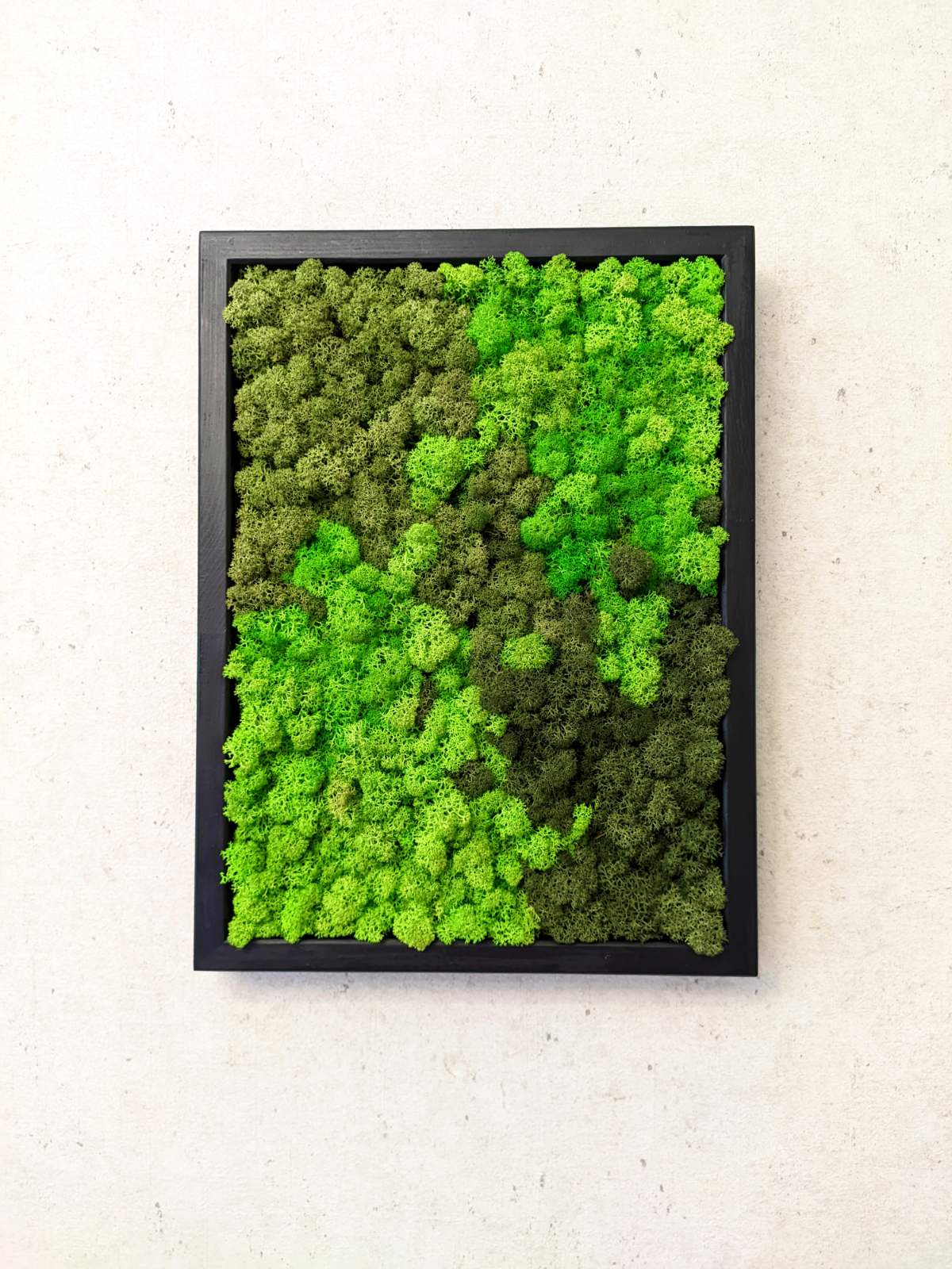 Preserved Moss Wall Art – Handmade Natural Wall Decor (30x40 cm)