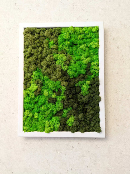 Preserved Moss Wall Art – Handmade Natural Wall Decor (30x40 cm)